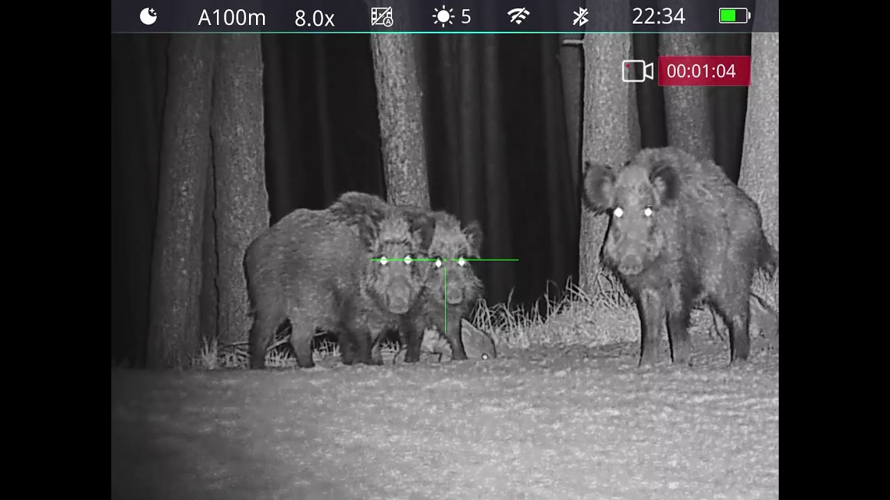 Polowanie na dziki-najlepsze TOP 10 z 2025/wild boar hunting-best TOP 10 in 2025-30/2025