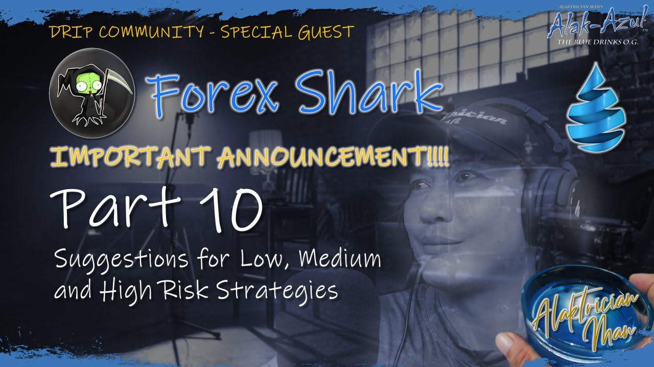 FOREX SHARK Part 10 - Suggestions for Low, Medium and High Risk Strategies