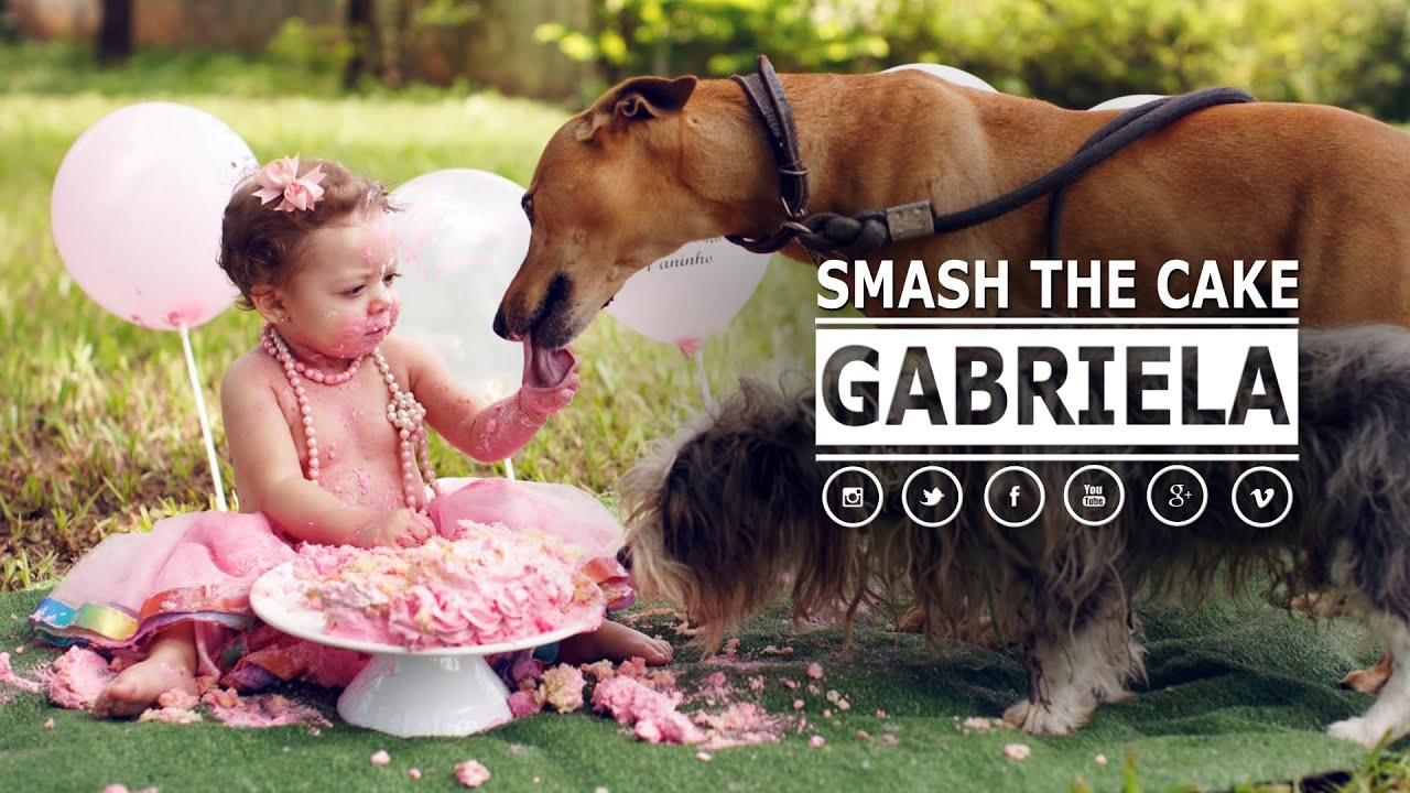 Smash the Cake Lindo com irmãozinhos de 4 🐾🐶 !