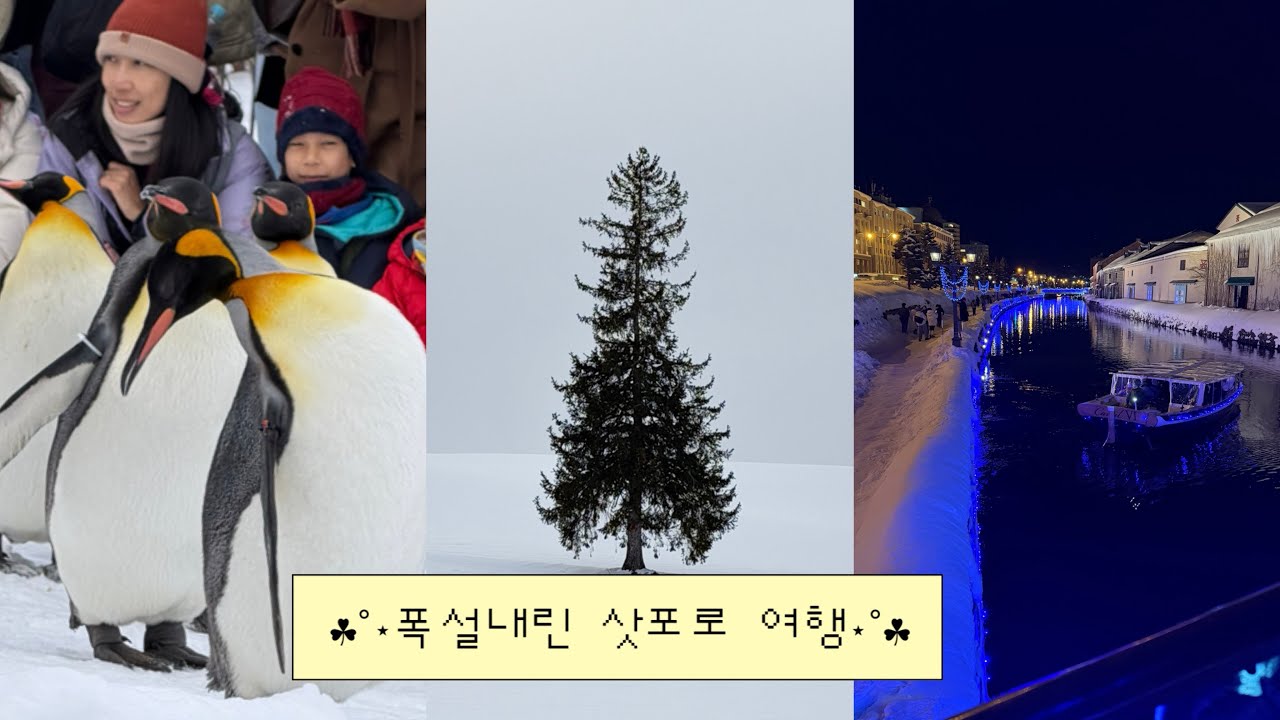 기록적인 폭설이 내린 삿포로 여행 | 날씨요정의 기가막힌 3박 4일 눈 나라 여행!