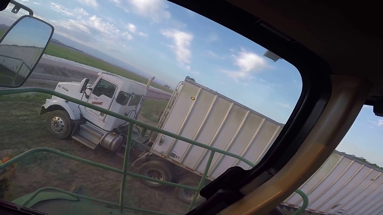 John Deere 7350 Forage Harvester, Alfalfa Green Chop, POV