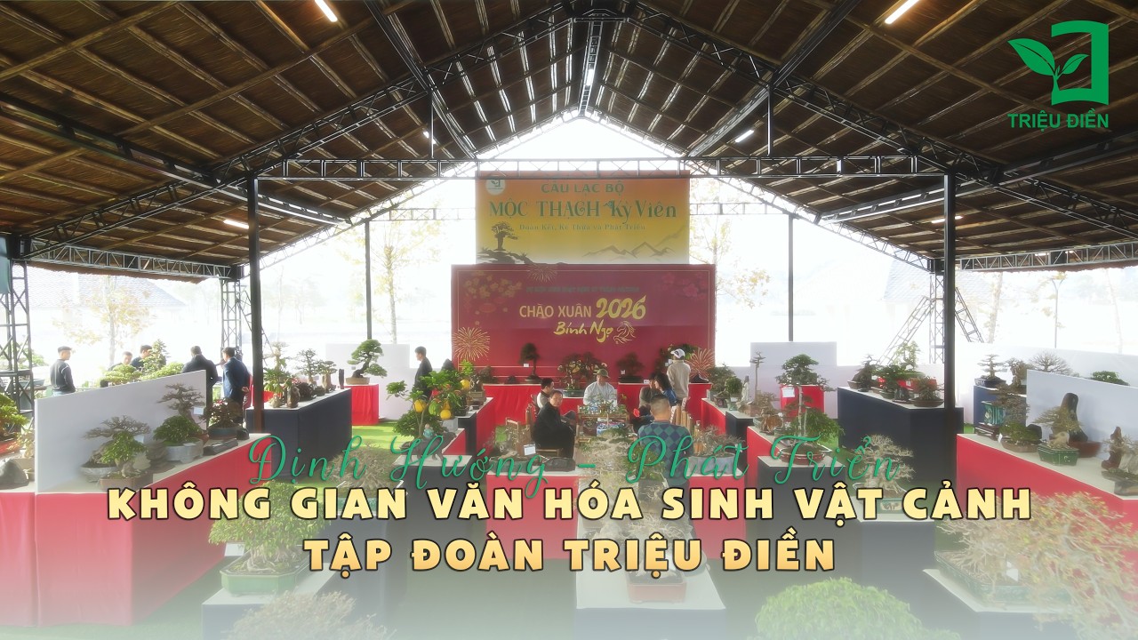 Định hình không gian cho hành trình phát triển bền vững nghệ thuật cây cảnh | CLB Mộc Thạch Kỳ Viên