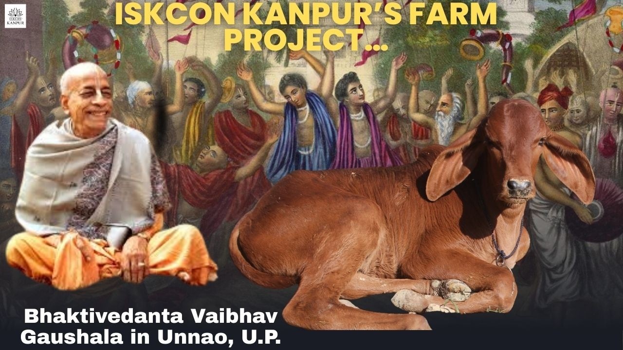 ISKCON Kanpur’s Farm Project… Bhaktivedanta Vaibhav Gaushala in Unnao, U.P.