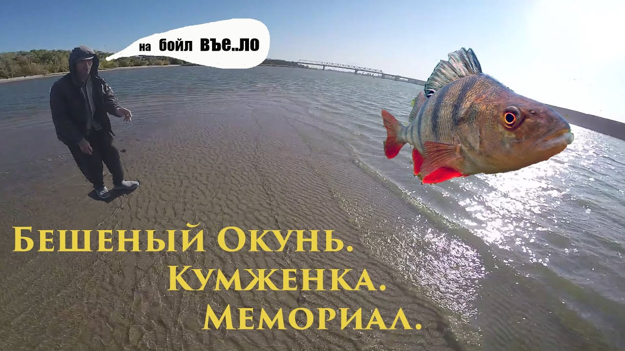 Река Дон. Бешеный Окунь.  Кумженская Роща.  Мемориал. Джиг. Запад Ростов-на-Дону