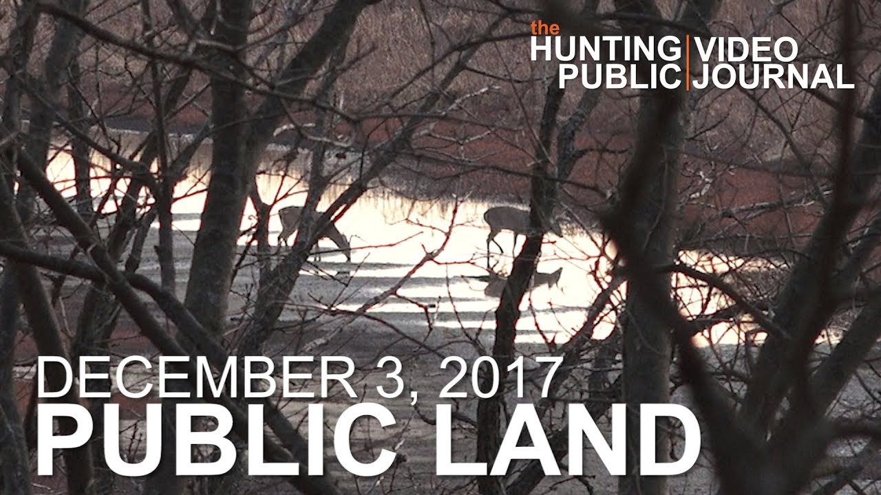 Public Land Day 35: River Bottom Bucks, Natural Browse Food Source | The Hunting Public