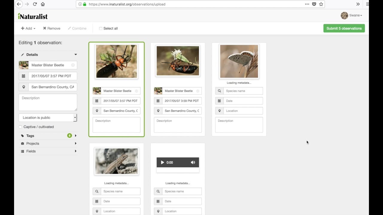 How to Use iNaturalist's Photo and Sound Uploader