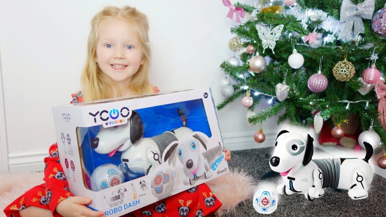 I GOT A DOG FOR CHRISTMAS | ROBO DASH