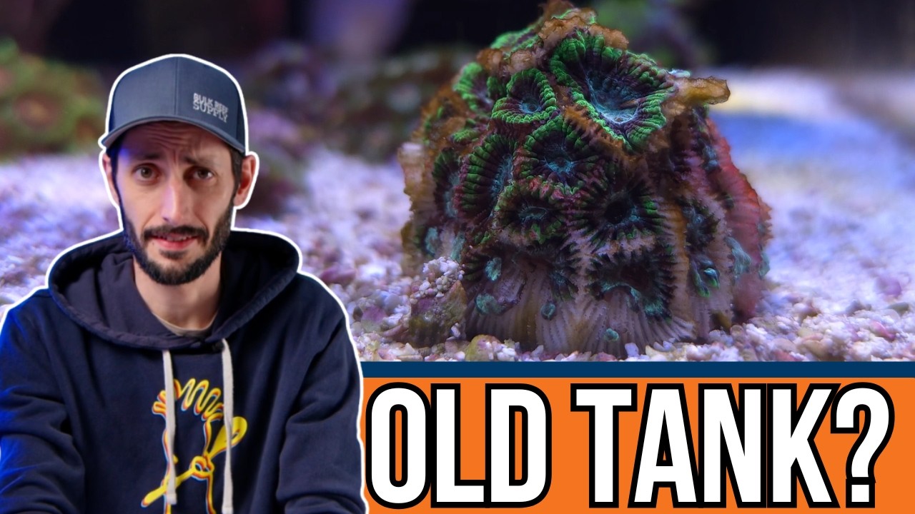 Help! I Wrecked My Tank Ep. 10: 