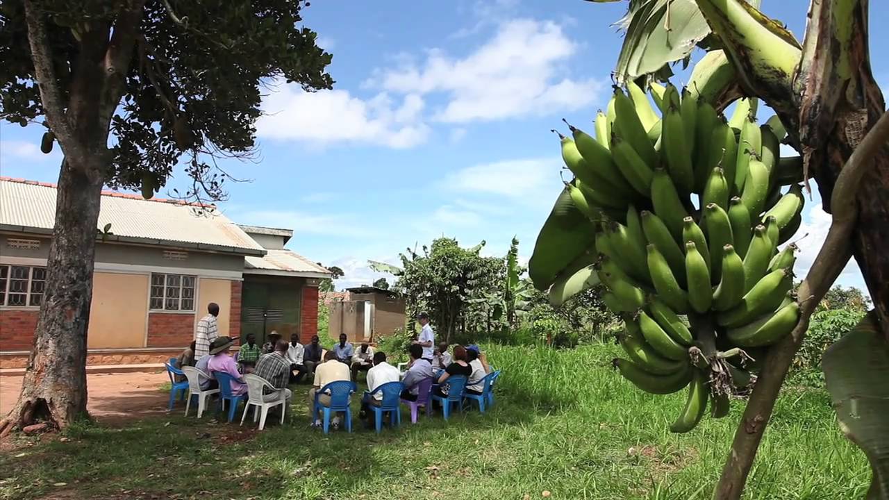 Notre Dame Ford Program in Uganda