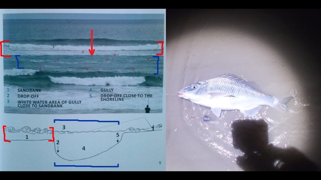 Night fishing for White Steenbras/Kob