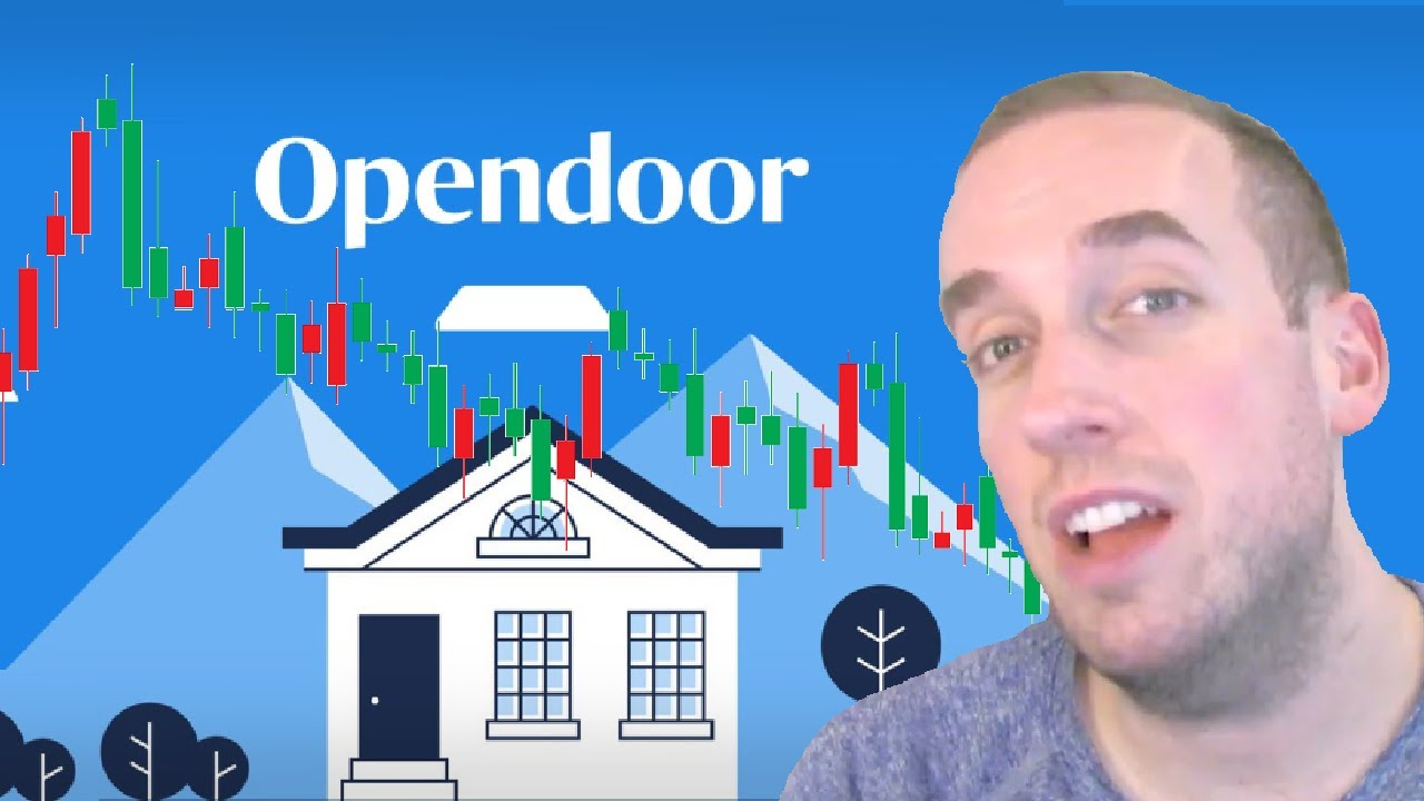 $OPEN Profitability? Opendoor Earnings!