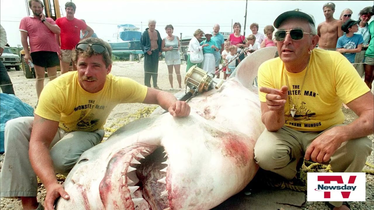 'Beneath the Surface': A look at the rise in shark sightings off Long Island shores