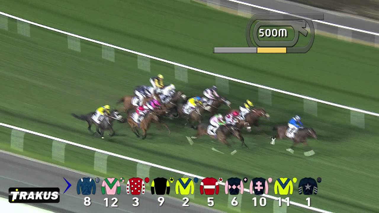 Race 4 -  Nova Stakes