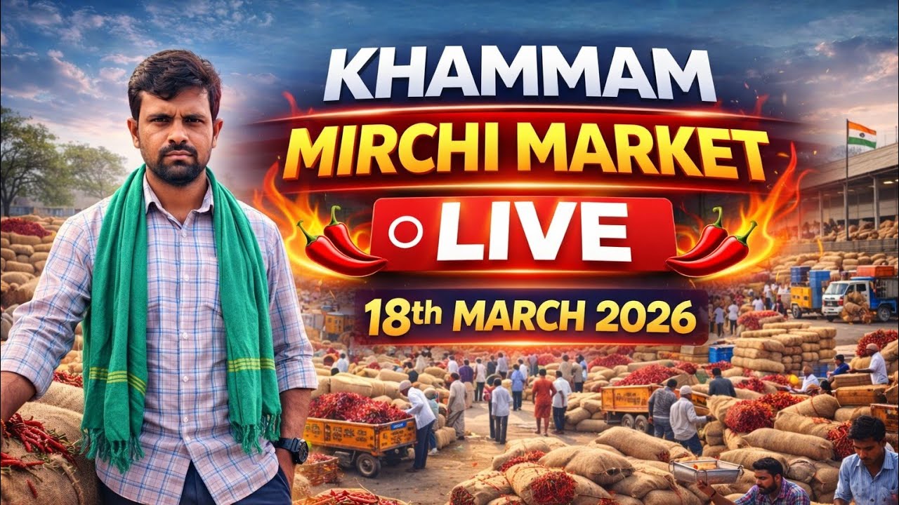 18th March #khammam #mirchi #market #live #today #chilli #price #rate #viral #warangal #guntur #ధర
