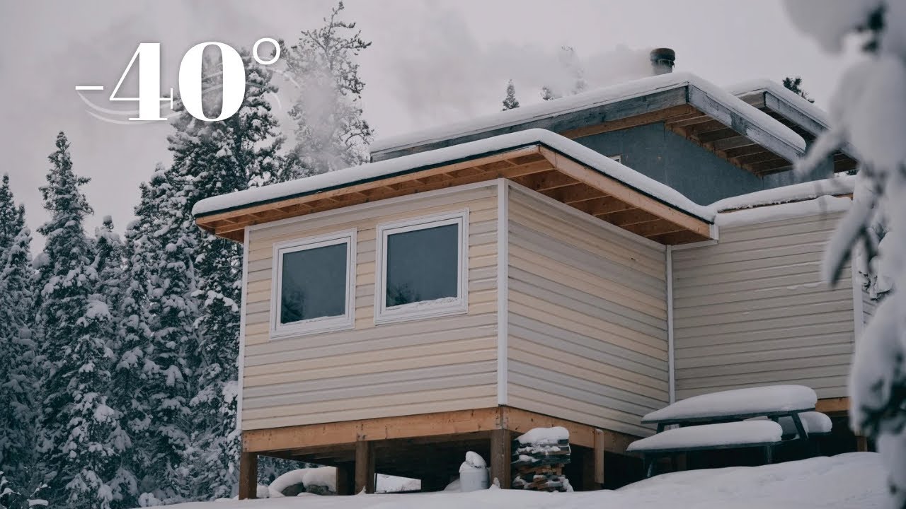 Frozen Cabin. Tough Little Dog