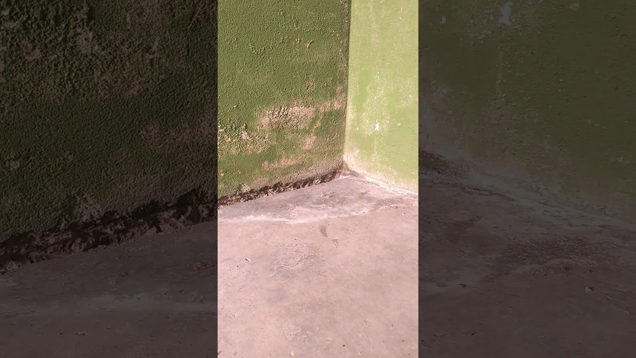 Pintar paredes con problemas de humedades