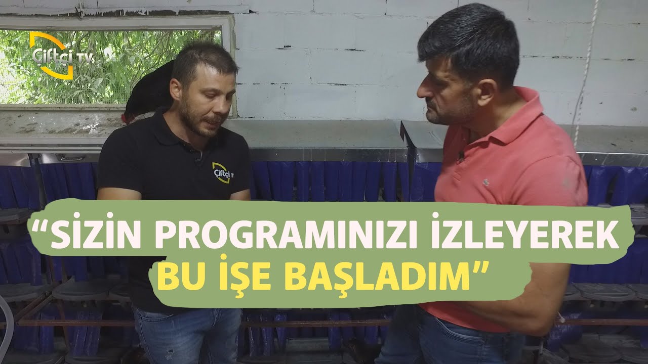 Izgara Sisteminin Avantajları ve Dezavantajları - Kanatlı Alemi