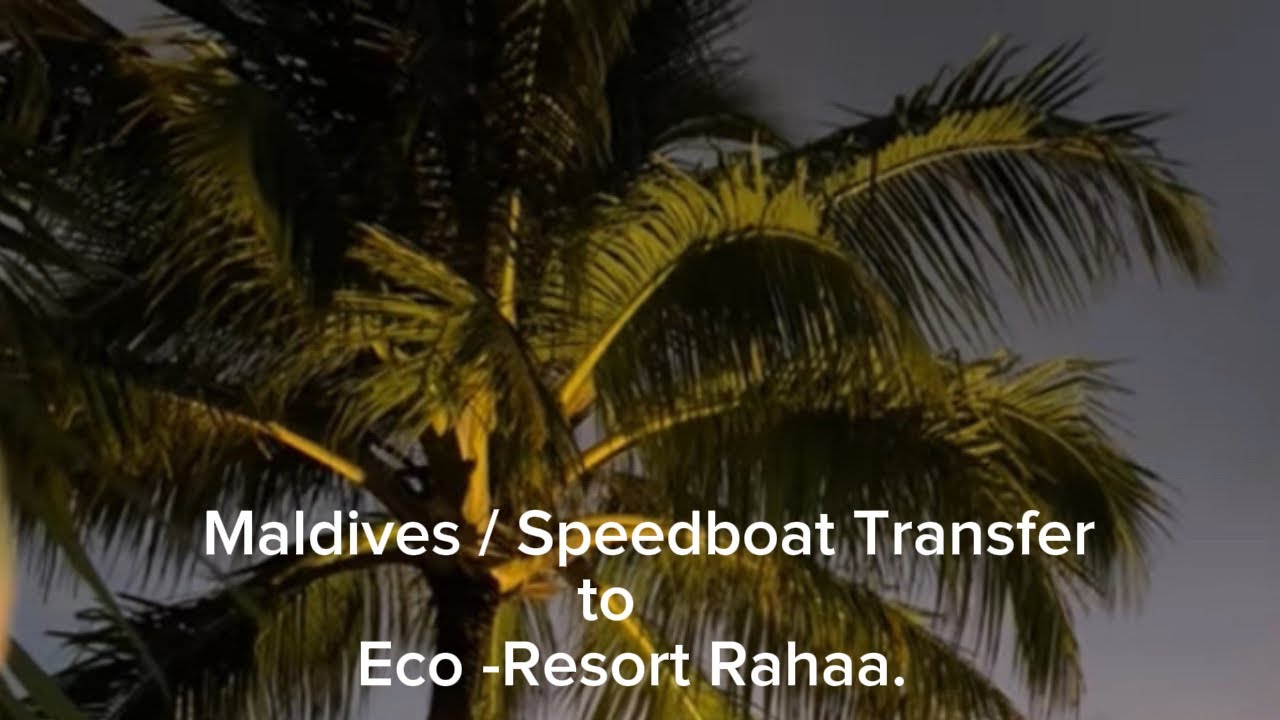 Maldives Speedboat Transfer | To Eco - Resort Rahaa ( Laamu Atoll)