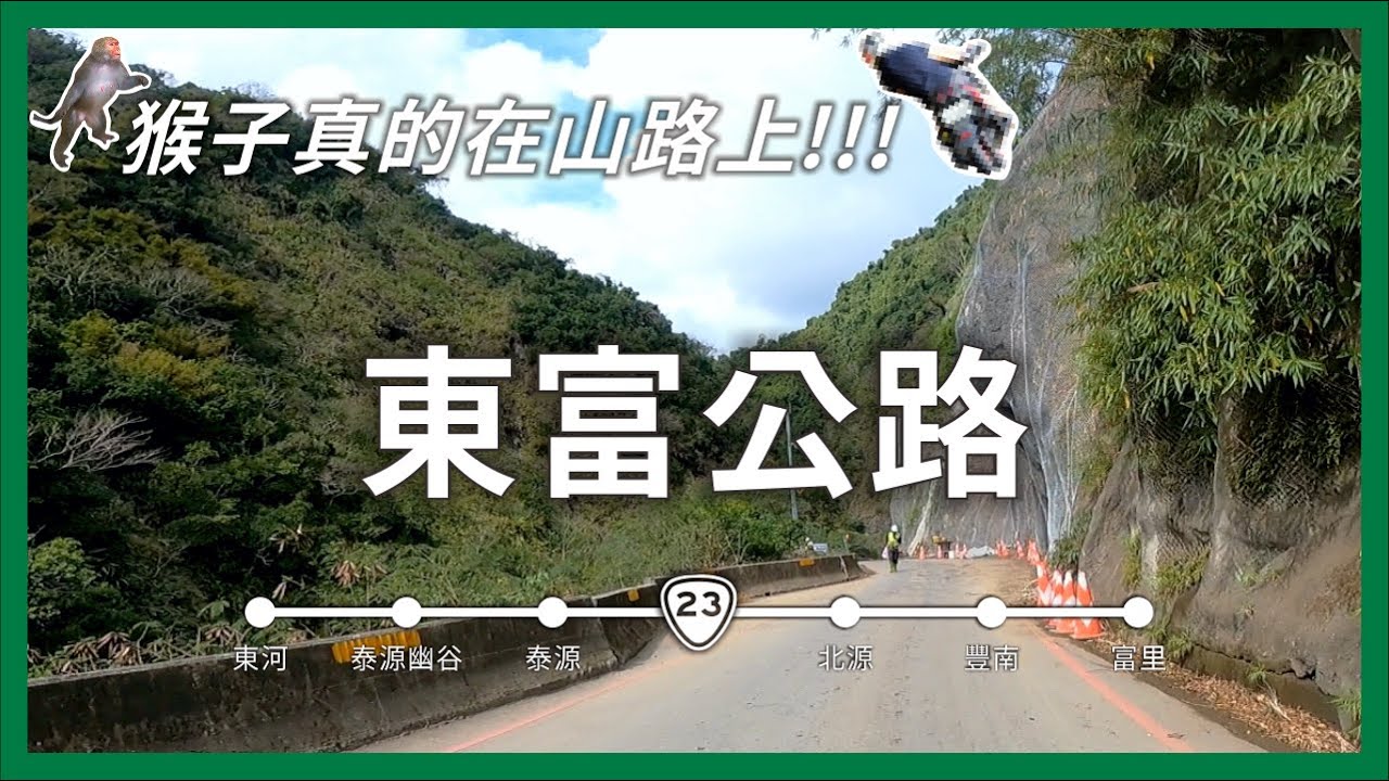 原來猴子真的在山路上！桃花源的東富公路｜台23線｜企鵝交通手札【公路飆遊企】