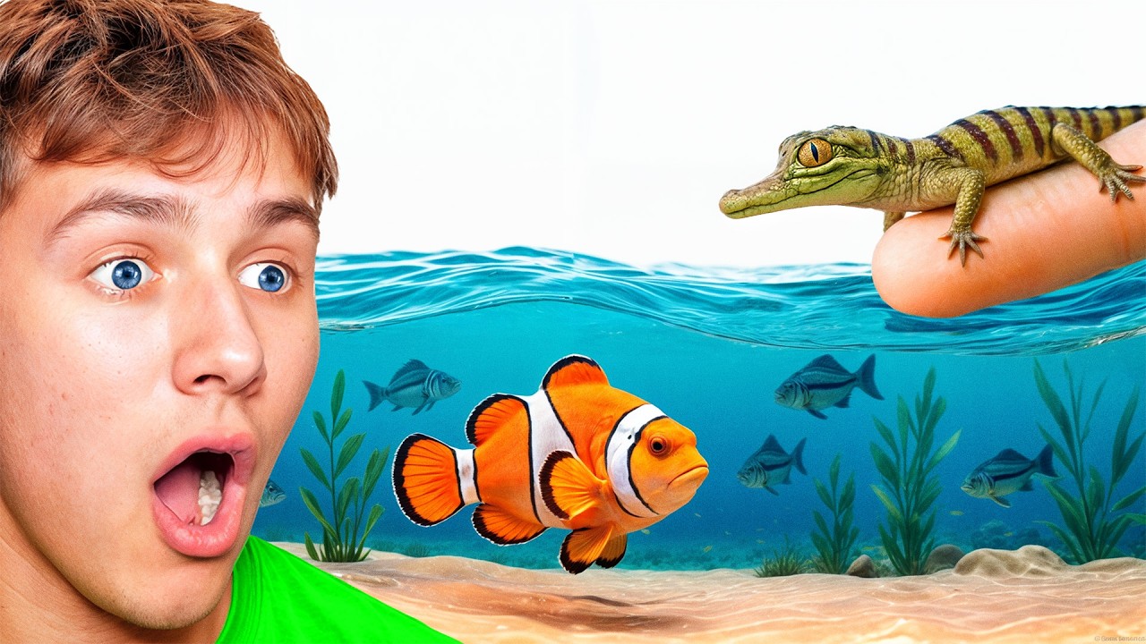 He Built His Own Beach Ecosystem!