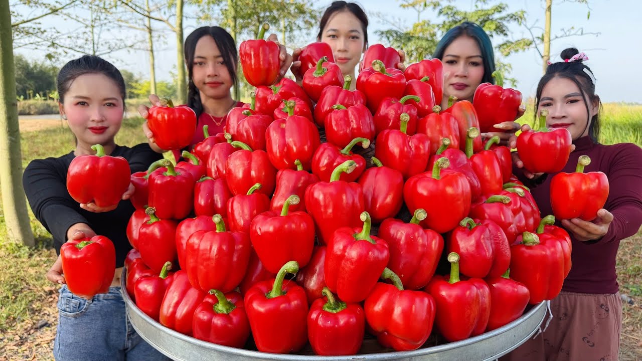 Amazing cooking steamed chili with pork and rice recipe
