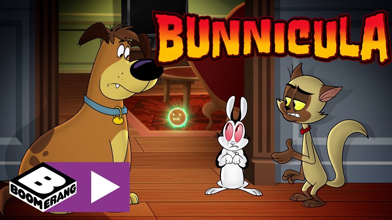 Bunnicula | Wo ist Bunnicula | Cartoonito