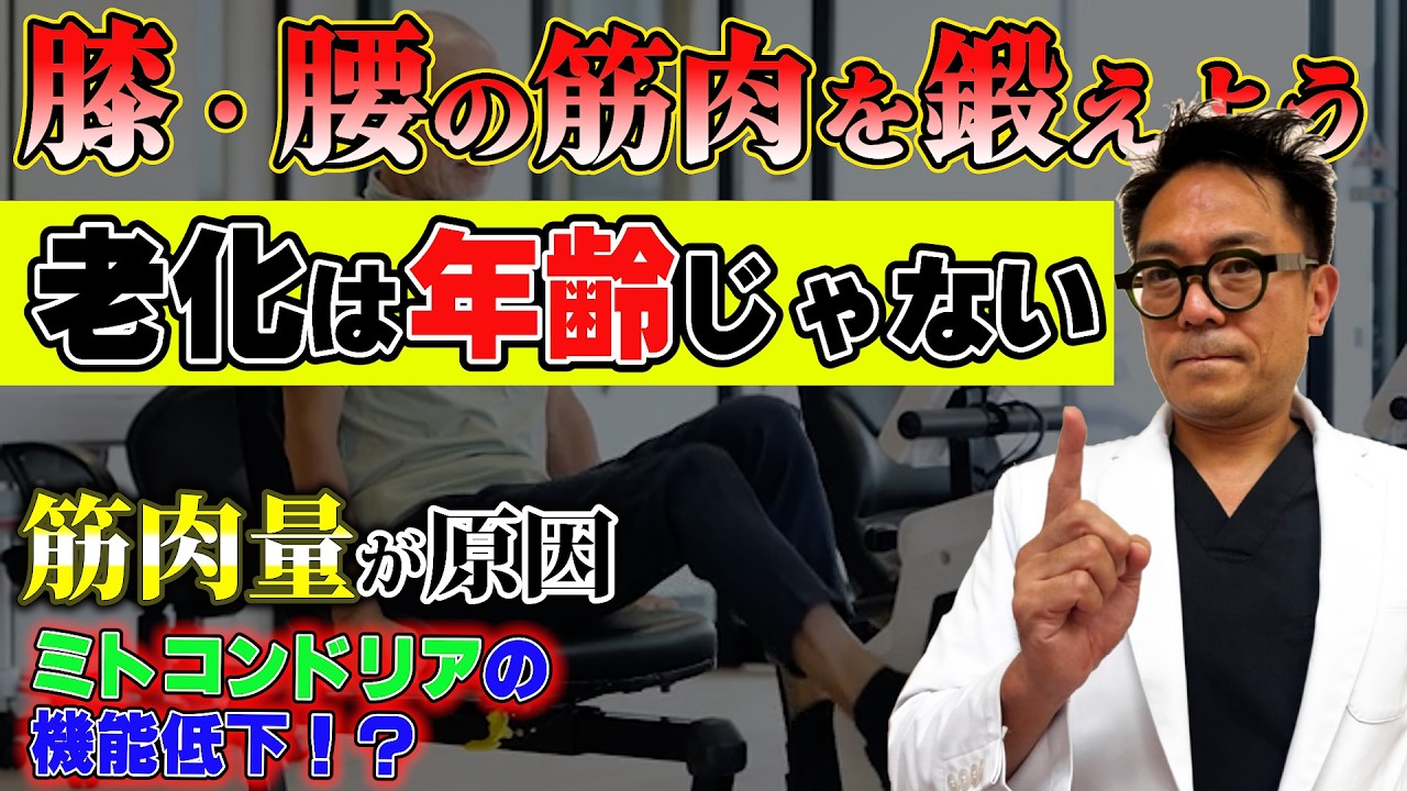 膝の痛みに安静は逆効果 | 老化を止めて痛みを消すための正しい運動で筋肉を鍛えよう