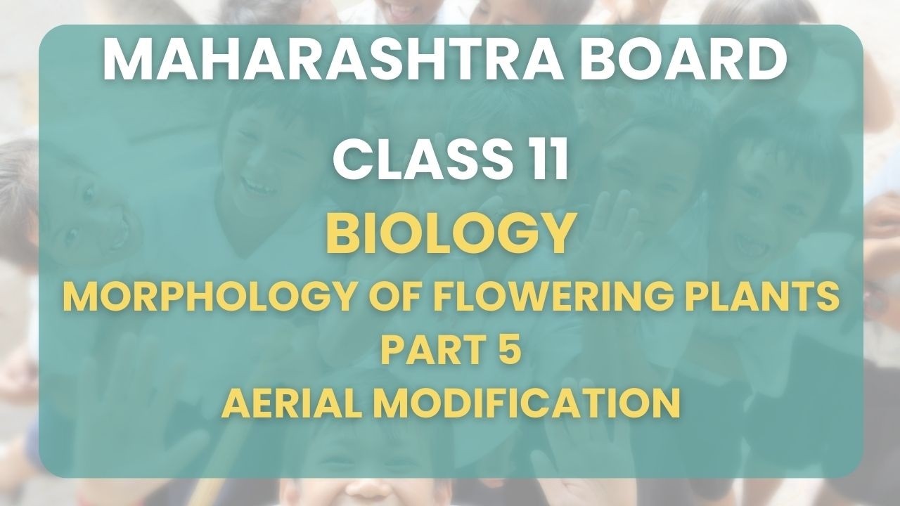 Class 11 | Biology - Morphology of flowering plants  Part 5 :Aerial modification | Maharashtra Board