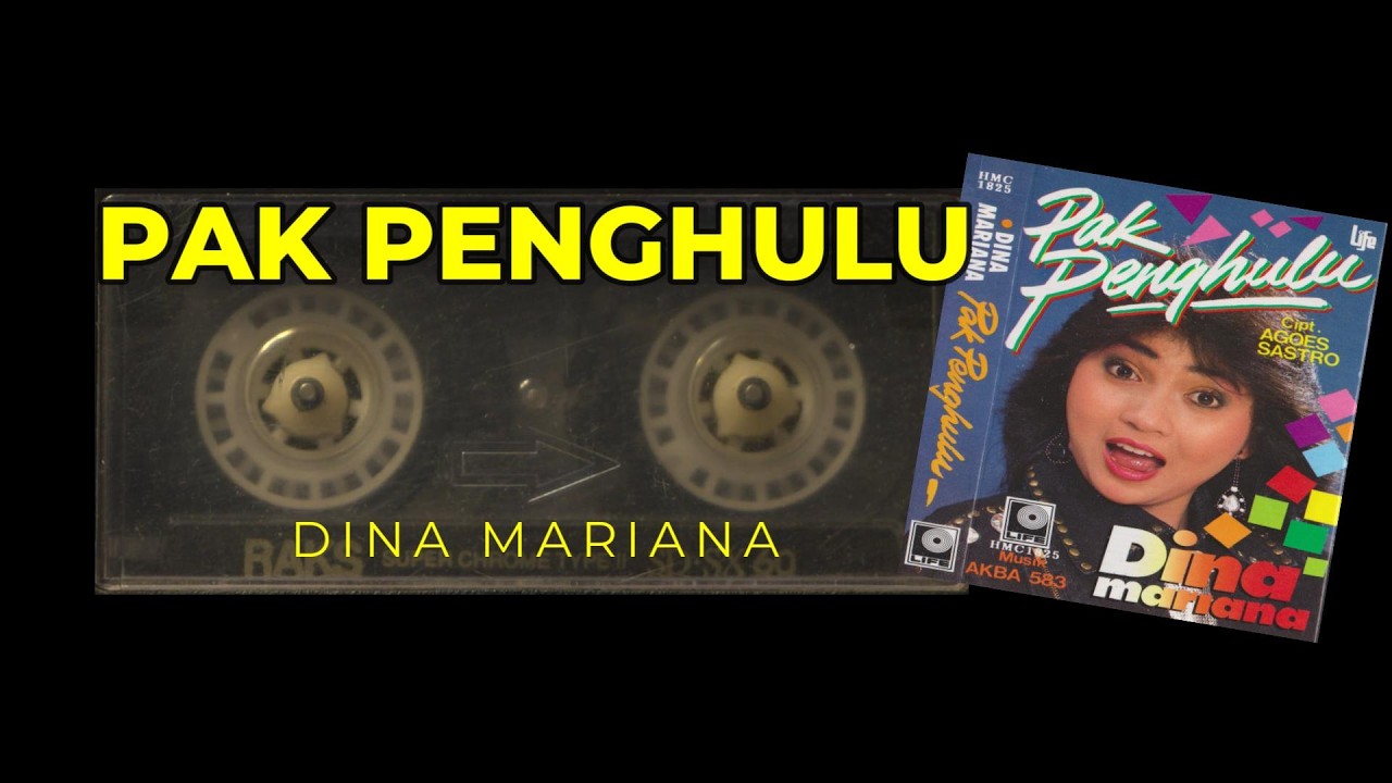 Pak Penghulu - Dina Mariana ( Next Version )