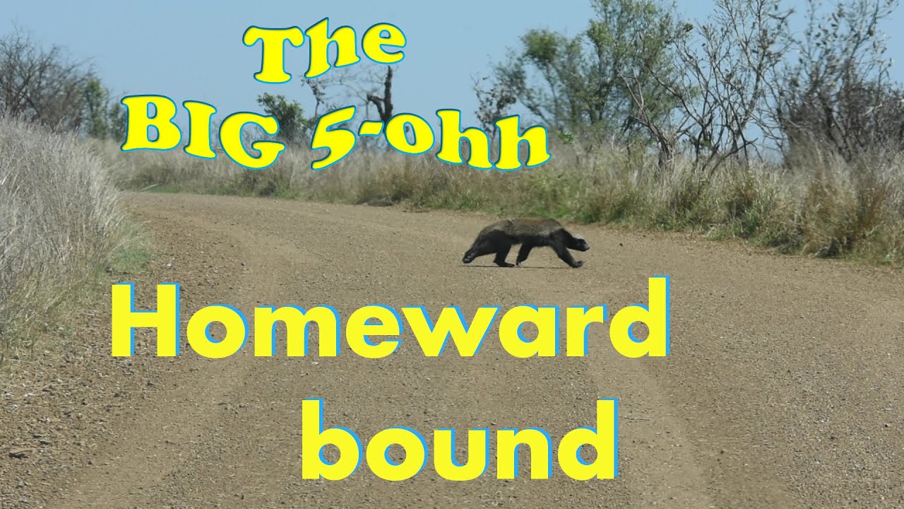 Kruger National Park . Balule review and farewell. Homeward Bound