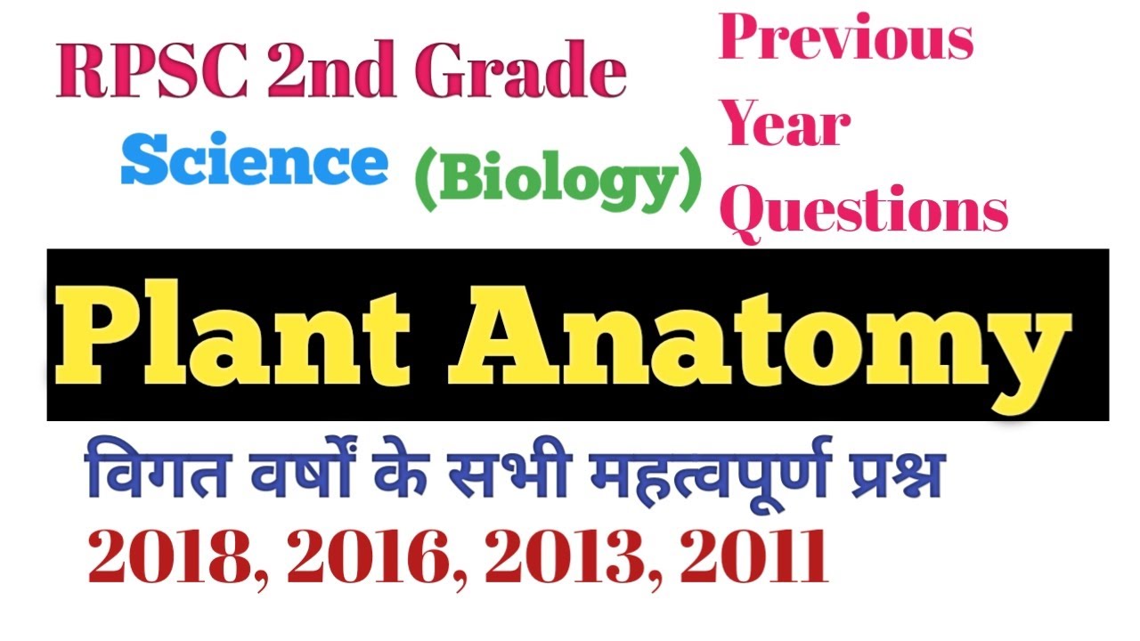 Plant Anatomy | Previous Year Questions | 2nd Grade Science(Biology) #2ndgrade #science
