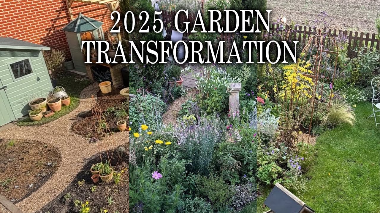 How My Cottage Garden Transformed In 2025