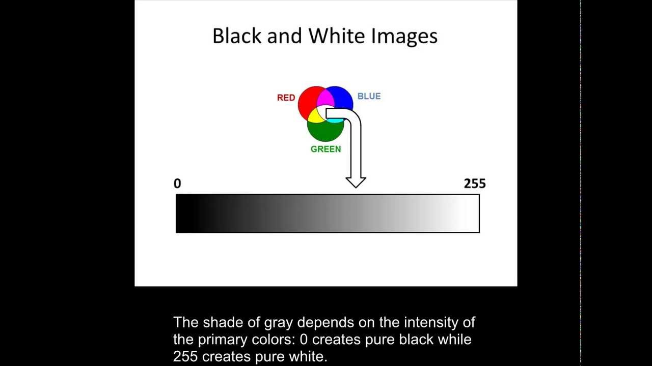 Changing an image from Color to Black and White using MATLAB