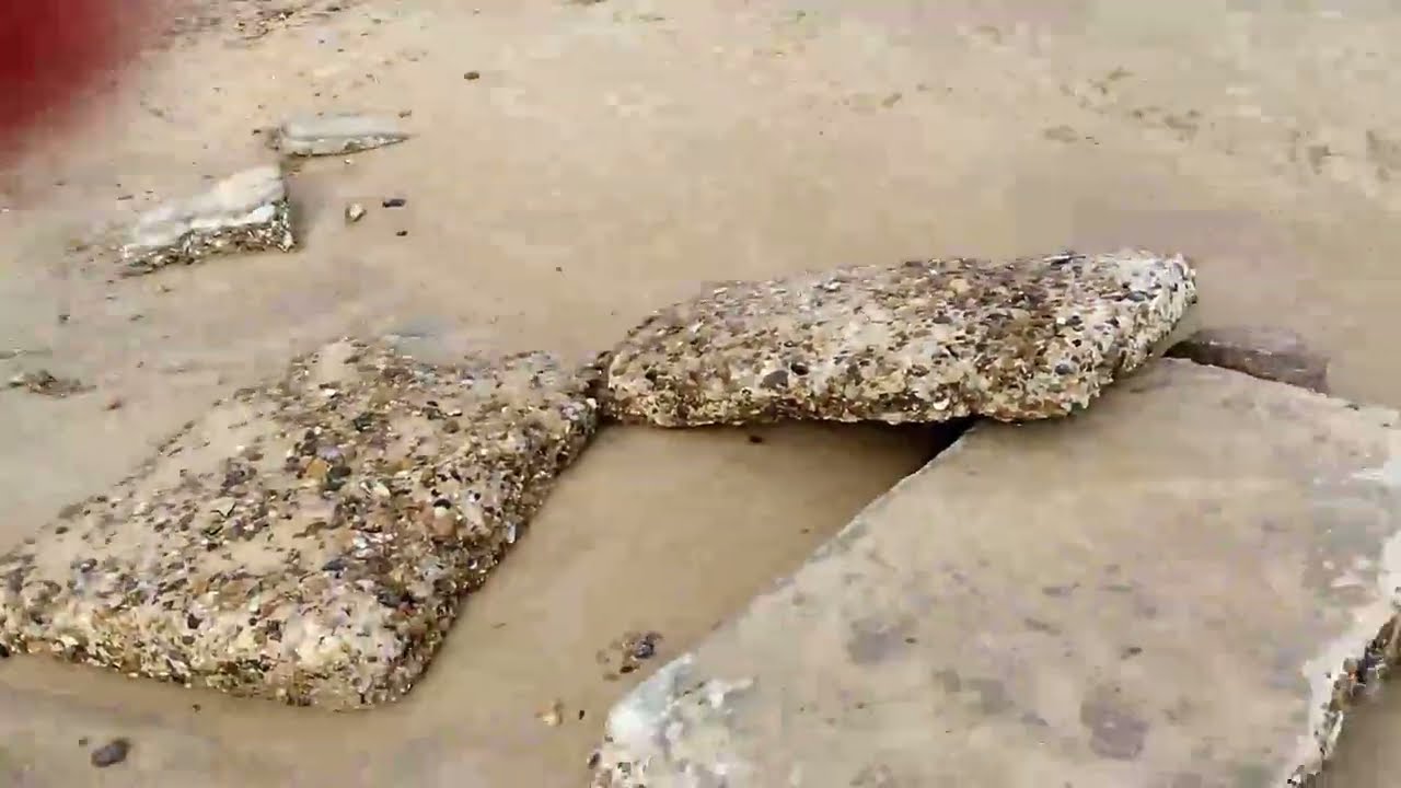 Pakefield - Part Two (Finding Fossils and relics) #fossil #beachlife #uk #walking #beach #sea