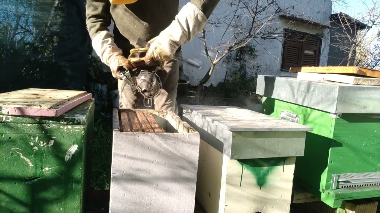 Apicoltura 2024 17 Dicembre. Come stanno i nuclei? Controlliamo insieme scorte ed eventuale covata.