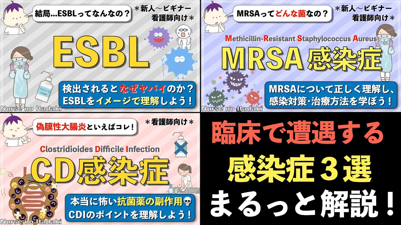 【臨床で遭遇することの多い感染症3選！】まずESBL、CD感染症、MRSAを理解しよう！