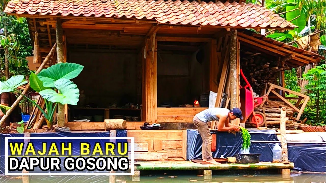 WAJAH BARU dapur gosong‼️ tambah semangat masak hari ini spesial udang tepung tumis kangkung