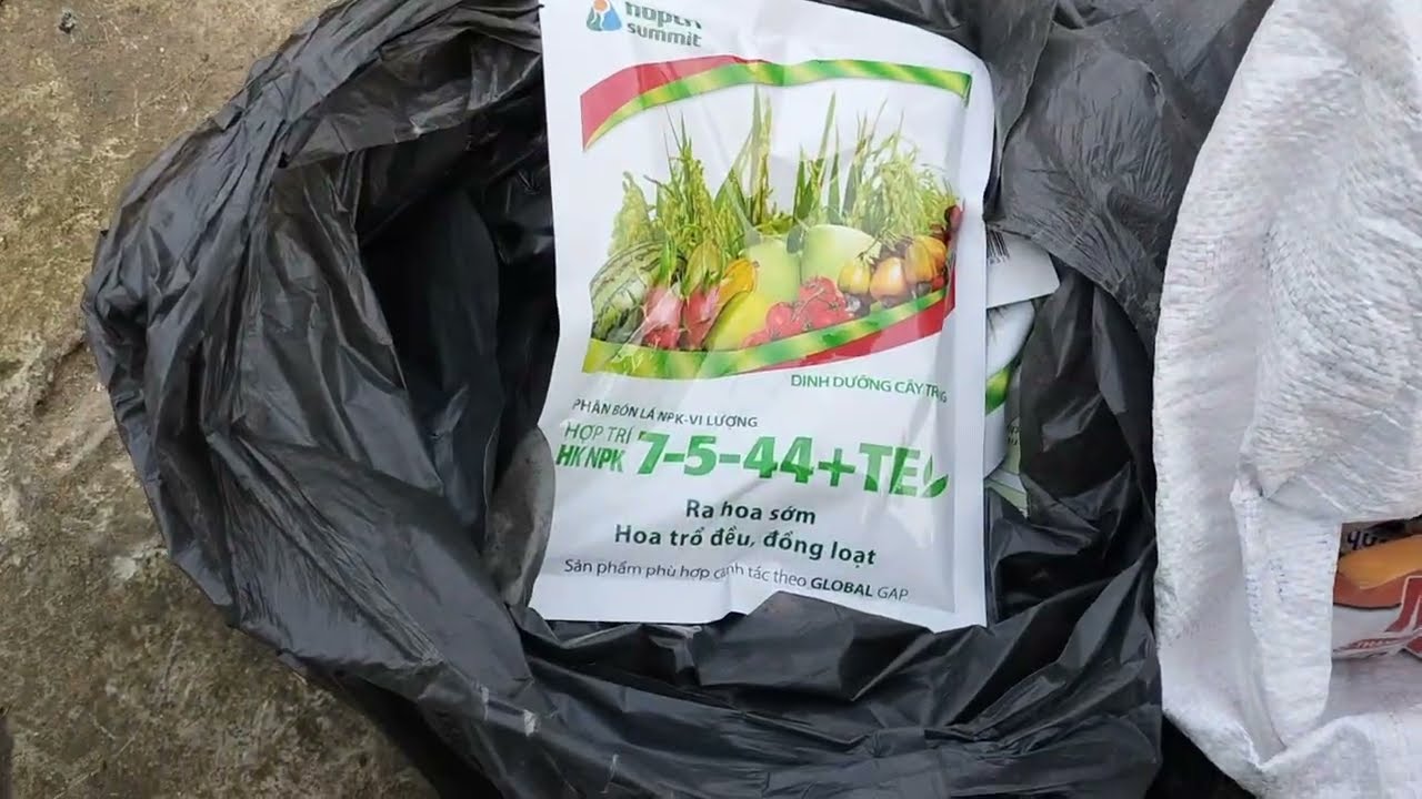 Liều - Lĩnh?!? Chắc chắn và không vất vả thì làm lộc 0 đồng.