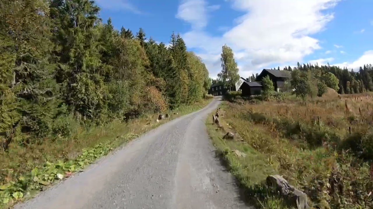 Krokskogen 20220917 Benteplassen - Langebru