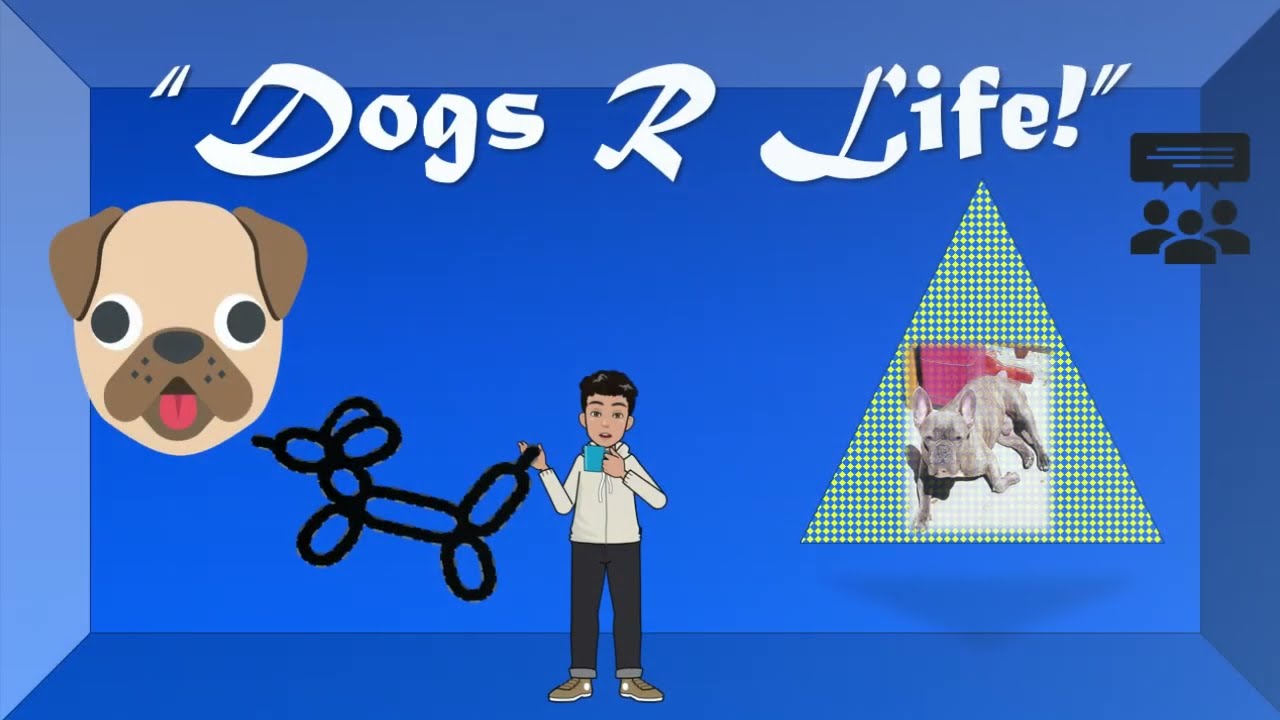Life With Dogs