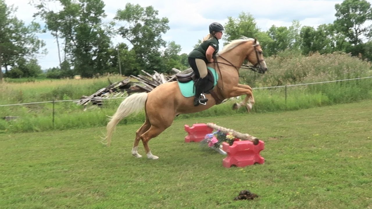 OH OH....THIS COULD BE A BAD LESSON!