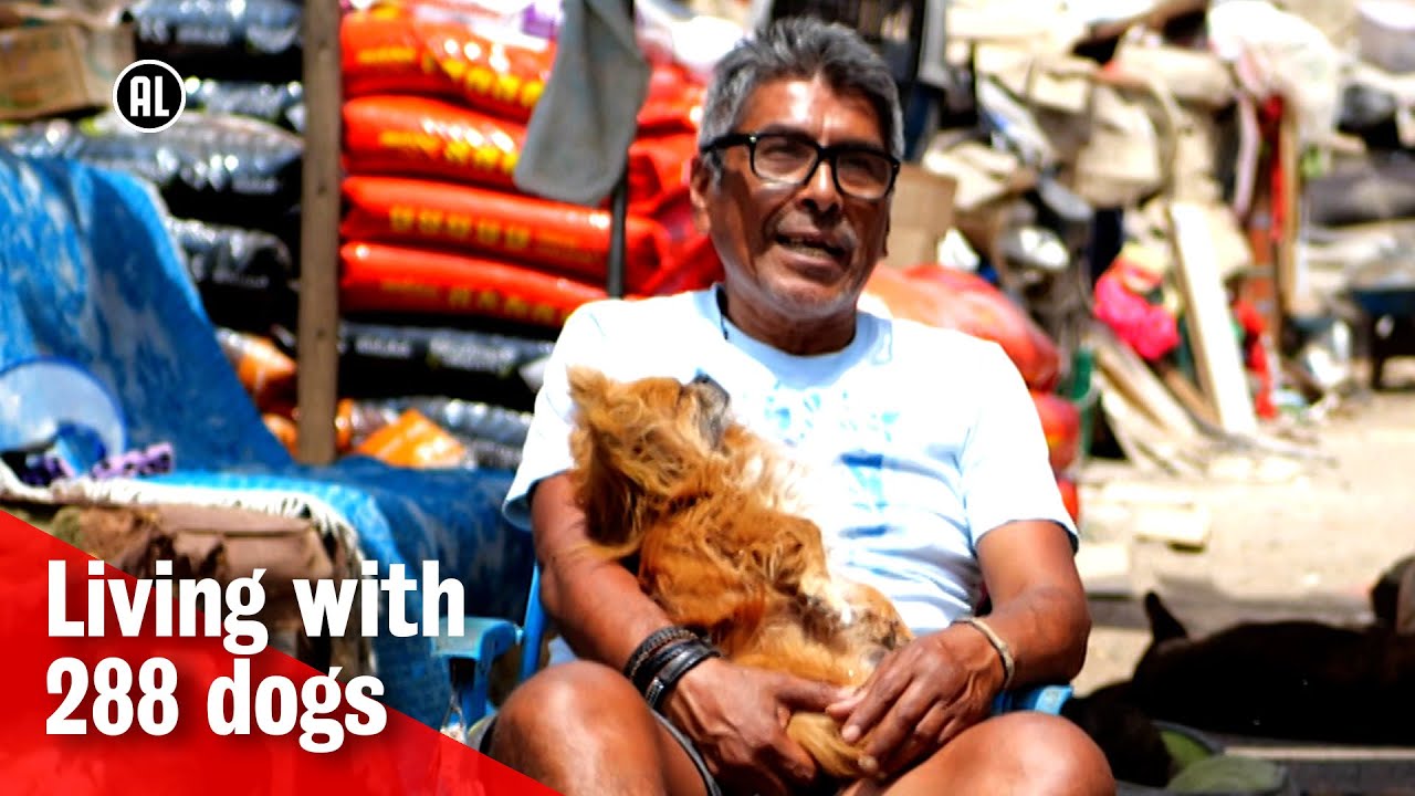 This man owns 288 dogs | Metropolis
