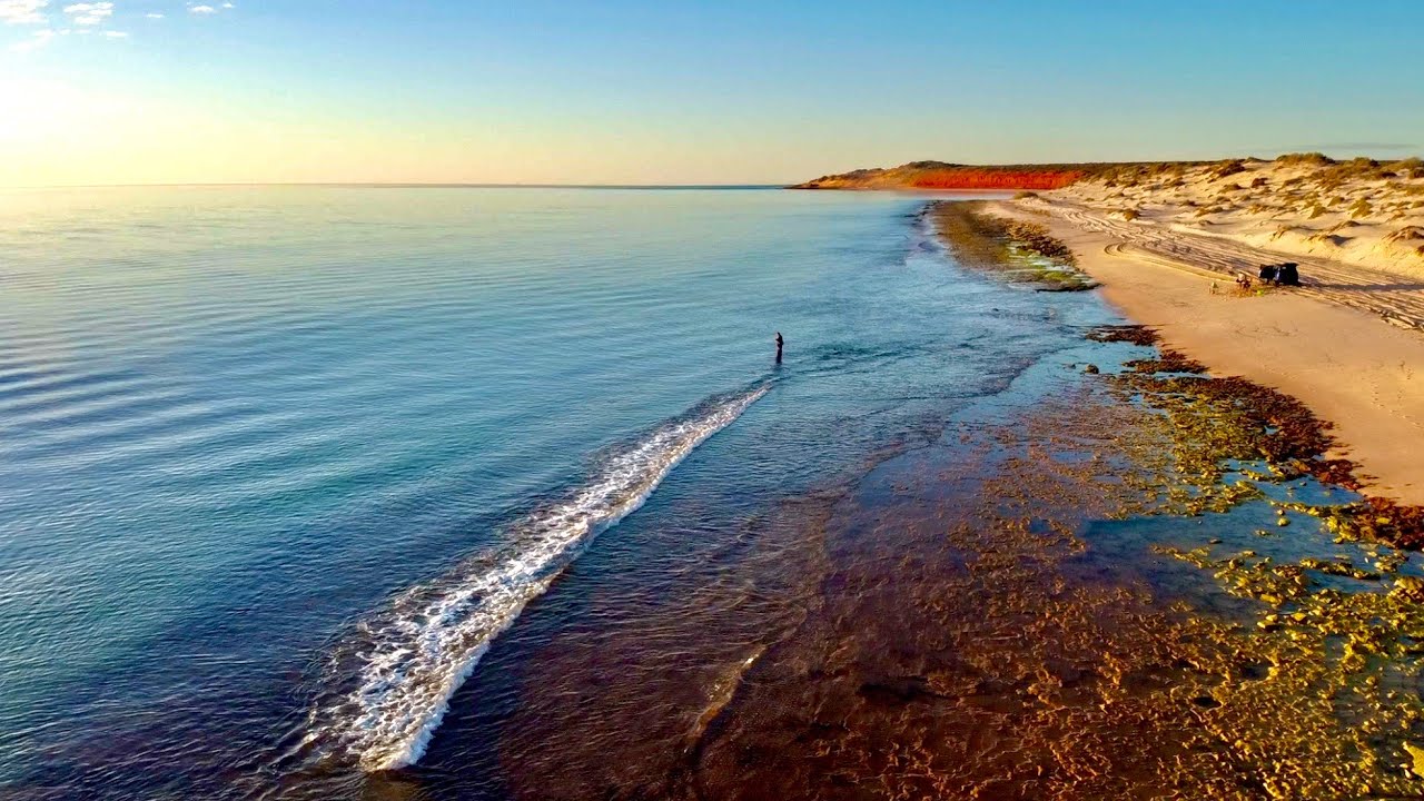 SHARK BAY | Поймай и приготовь в лучшем месте, где я когда-либо обедал