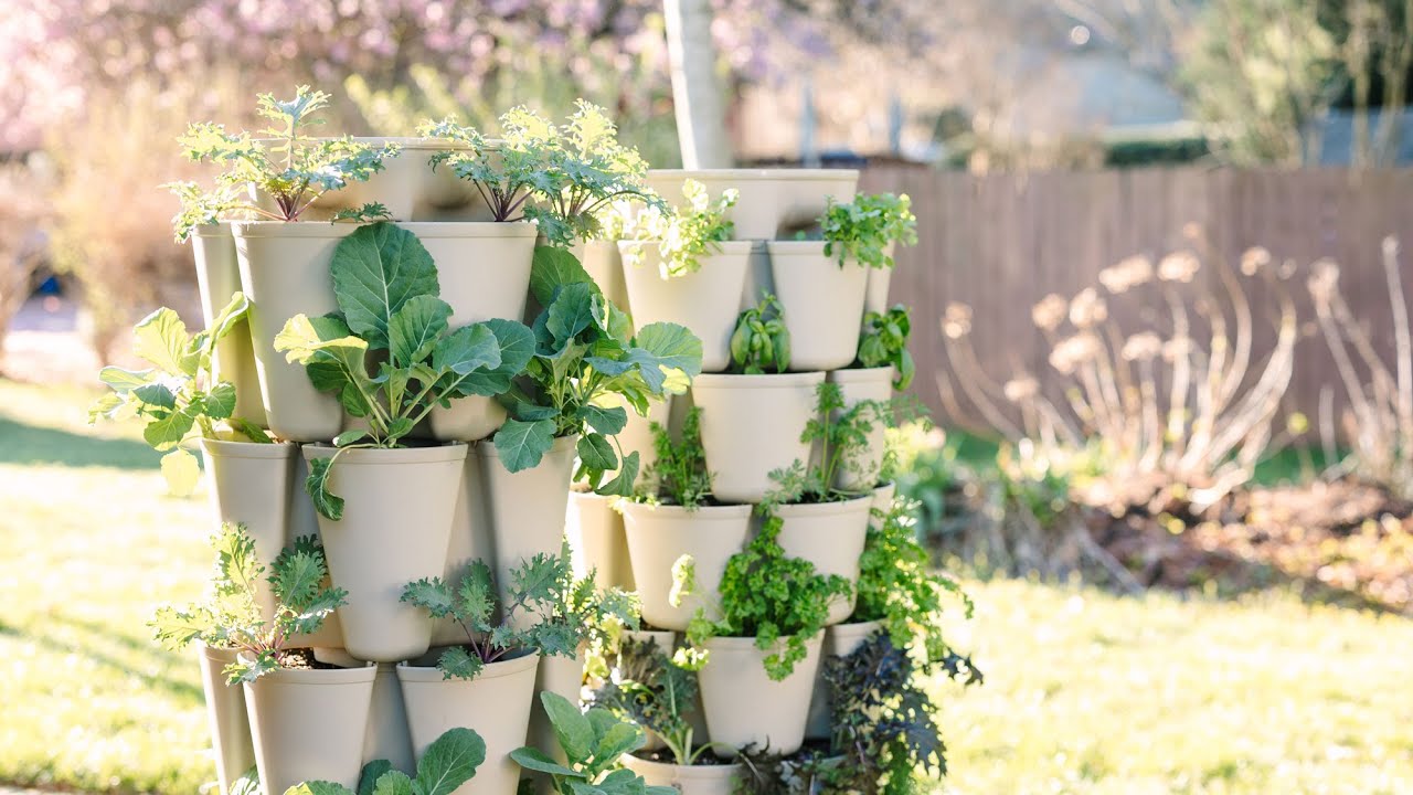 Explained: The Difference Between Leaf & Original Planters