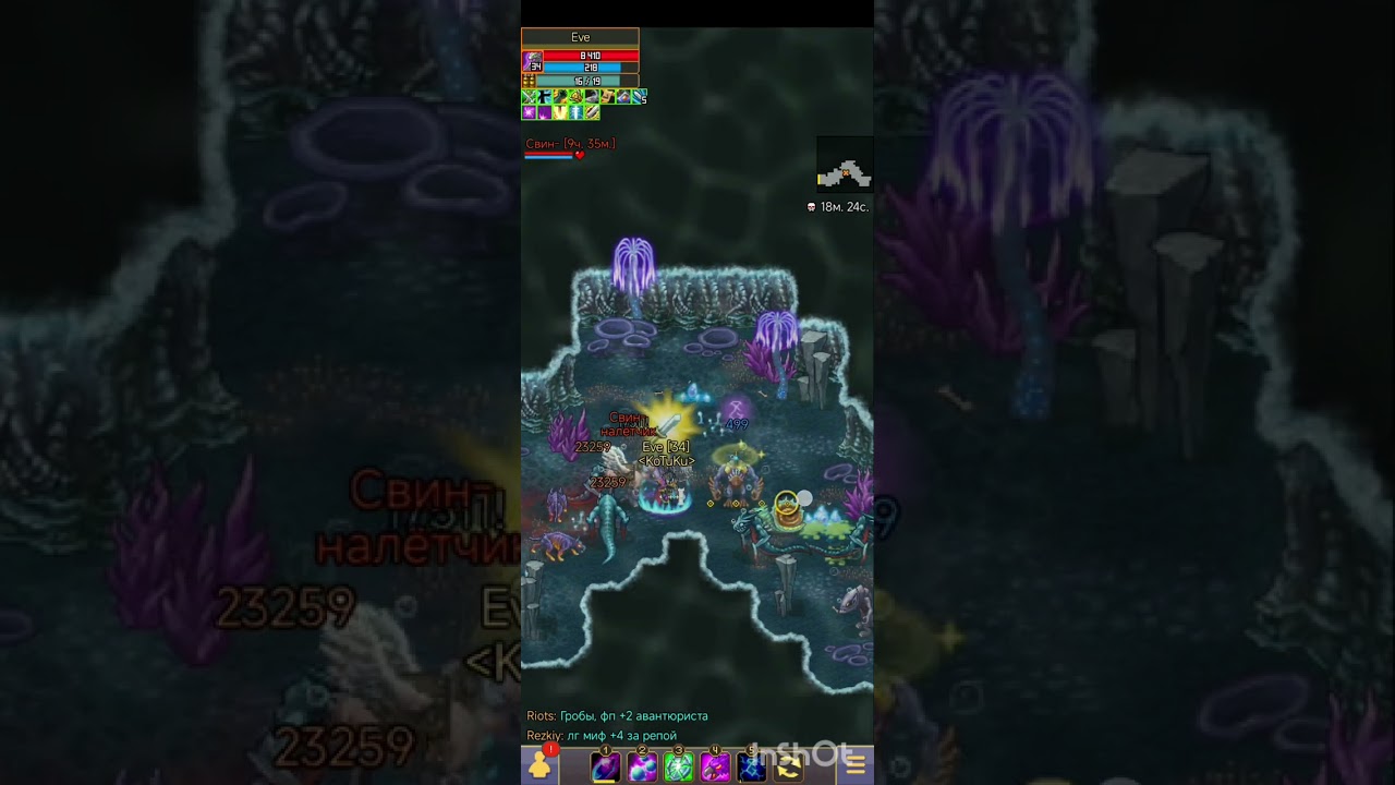 SoloCharmer  L5 in 2025