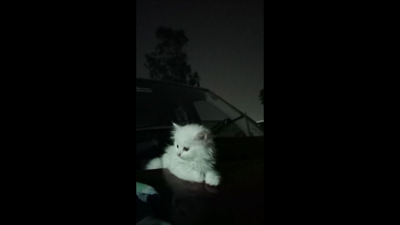 I always win, which means I'm always right!