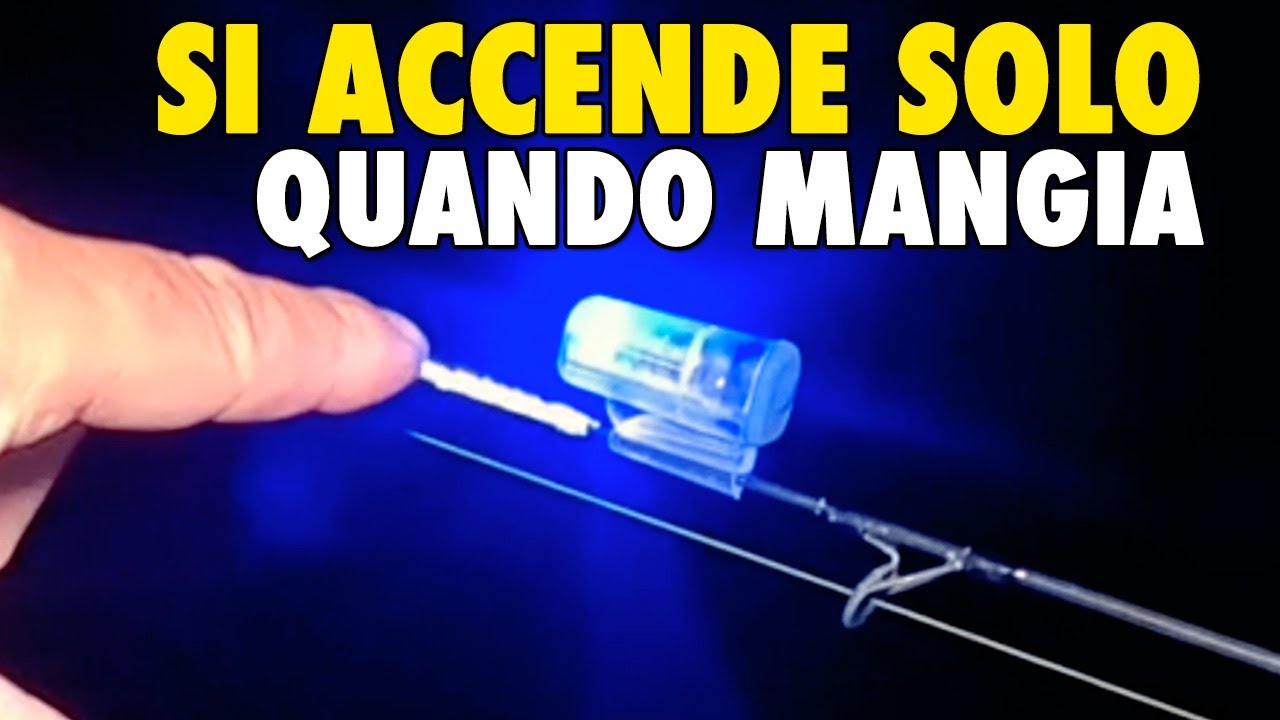 Questo Avvisatore d'abboccata ti avverte solo quando mangia il pesce.