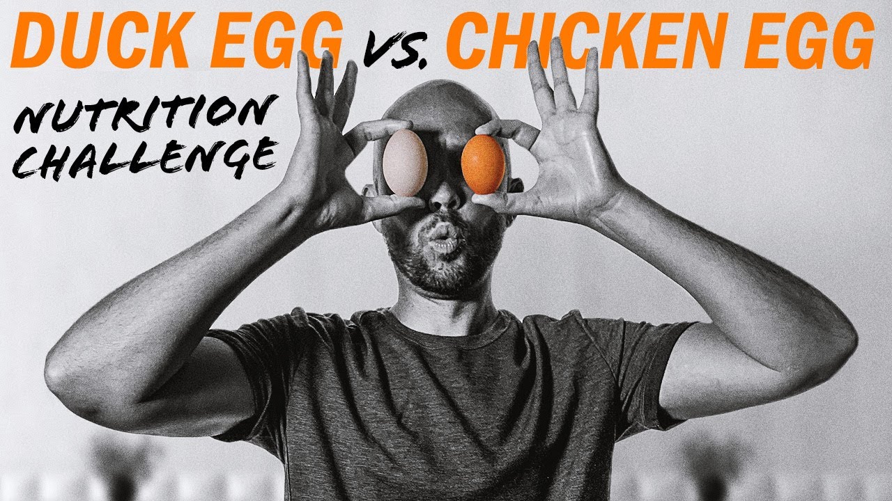 Duck Eggs Vs. Chicken Eggs | A Carnivore Diet Taste & Nutrition Challenge