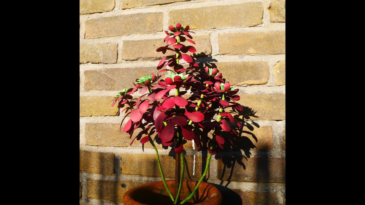 Semposium Destiny Surreal Part 2