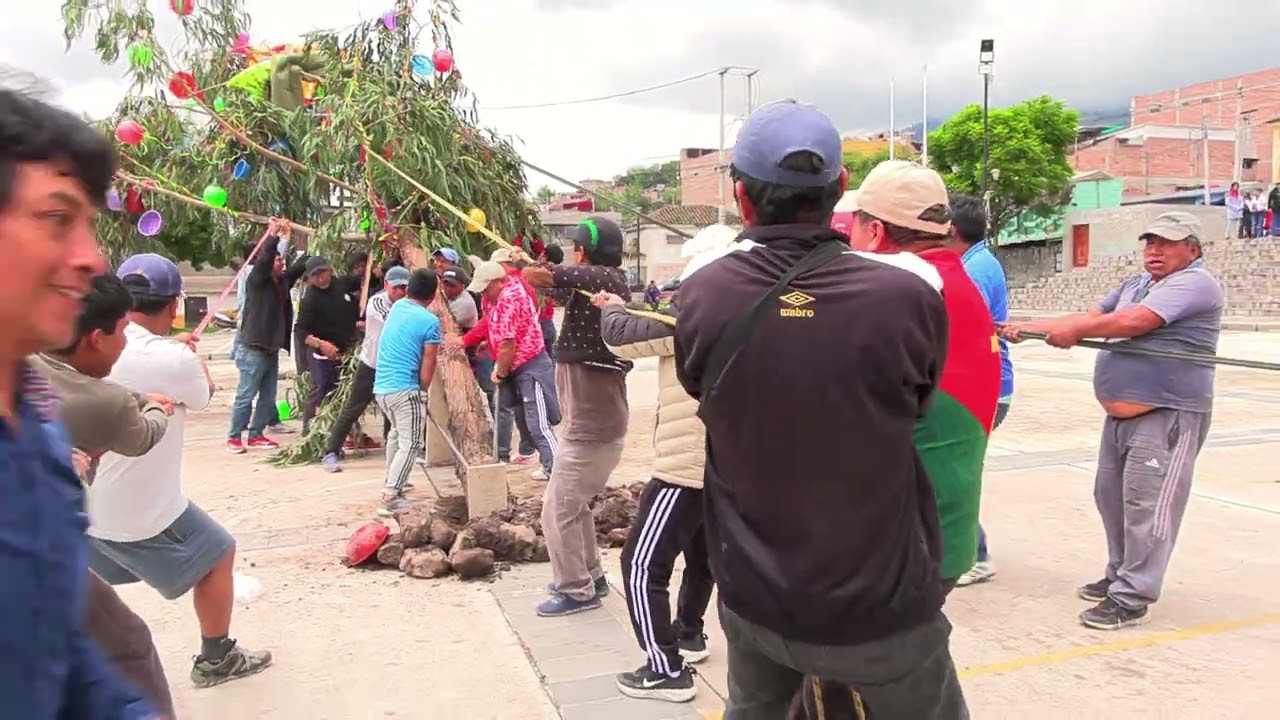 GRAN CORTAMONTE SANTA ANA 2026 (TRADICIONAL YUNZA)
